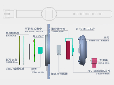 学生体质自助监测